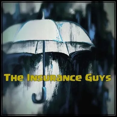 The Insurance Guys TIG