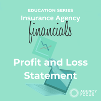 Insurance Agency Profit and Loss Statement